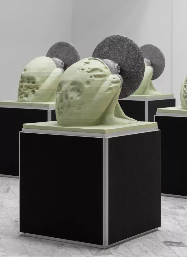 Photographie © David Stjernholm