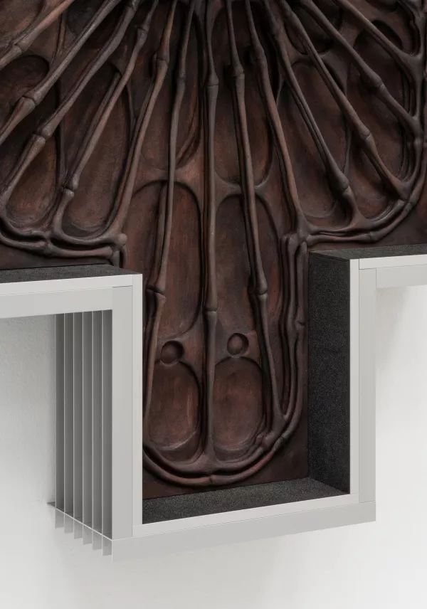 Photographie © David Stjernholm