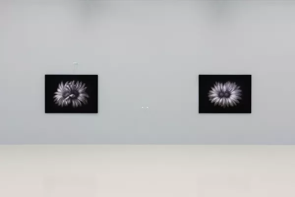 © Laurent Grasso et PERROTIN, Paris © Laurent Grasso / ADAGP 2021/ Crédit photo : Claire Dorn