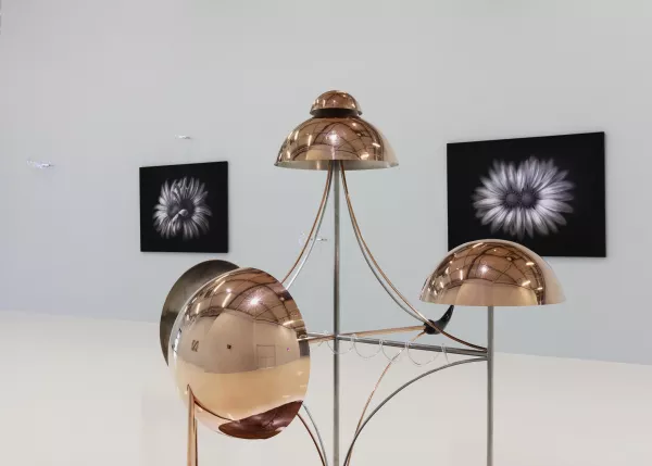 © Laurent Grasso et PERROTIN, Paris © Laurent Grasso / ADAGP 2021/ Crédit photo : Claire Dorn