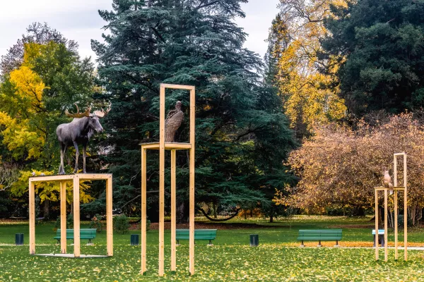 photo © Valérie Servant