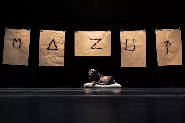 ©FrançoisPasserini