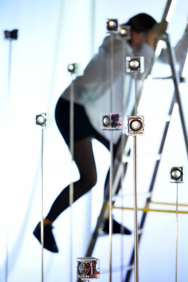 ©Frédéric Desmesure