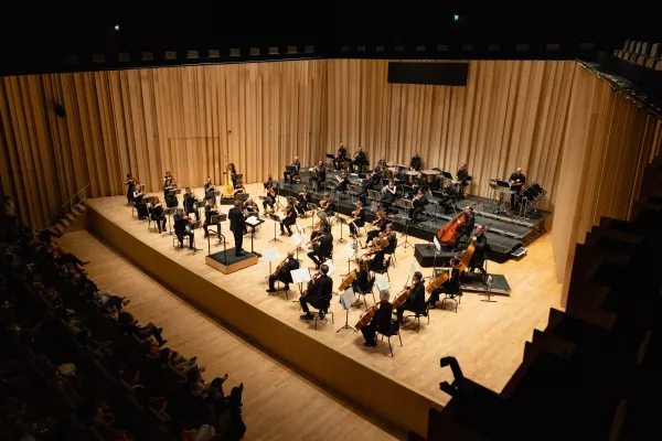 ©Nicolas Larsonneau