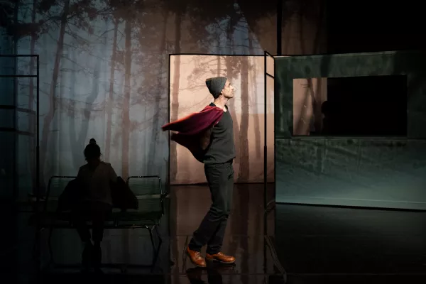 Visuel du spectacle Sans suite un air de roman