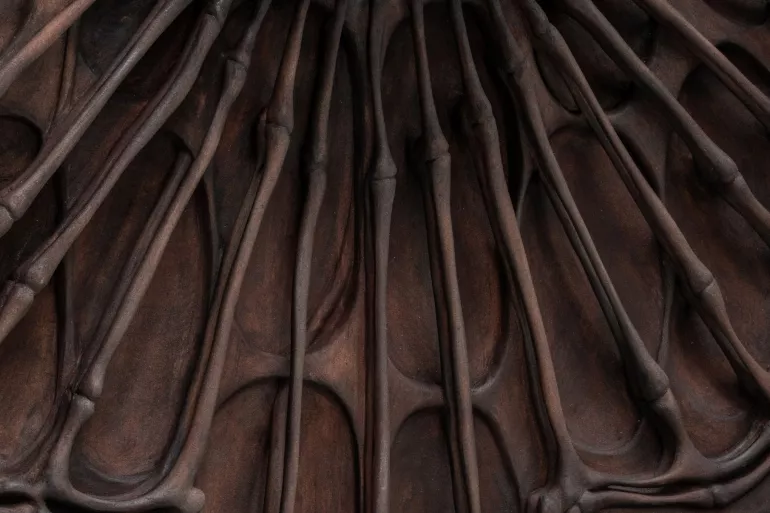 Visite guidée Door of Hearing avant les spectacles