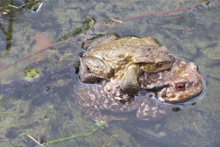 Photographie © Philippe Bricault