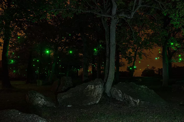 LE JARDIN DES LUCIOLES