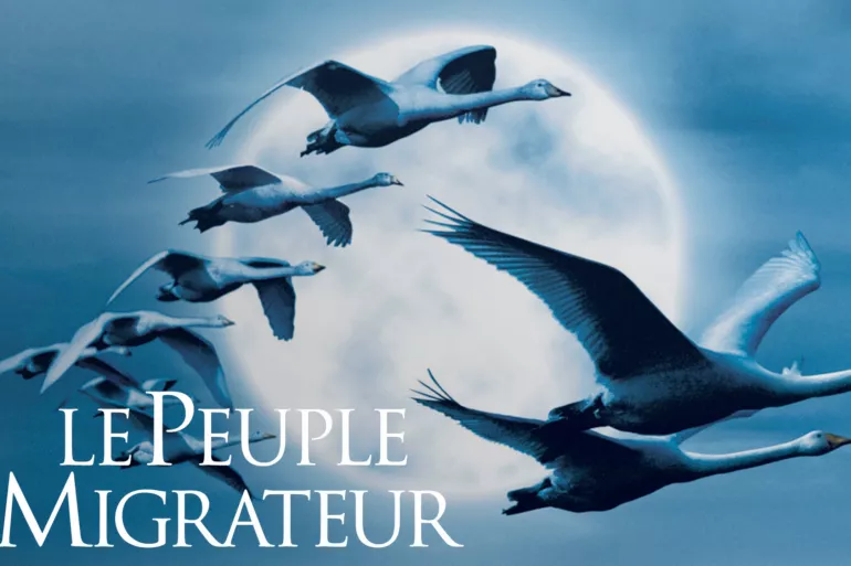 ATELIER ORIGAMIS + FILM