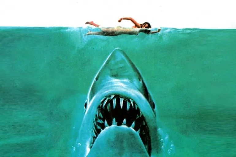 LES DENTS DE LA MER + DANGEROUS ANIMALS