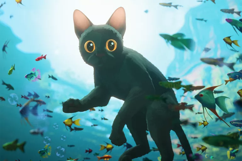 FLOW, LE CHAT QUI N’AVAIT PLUS PEUR DE L’EAU