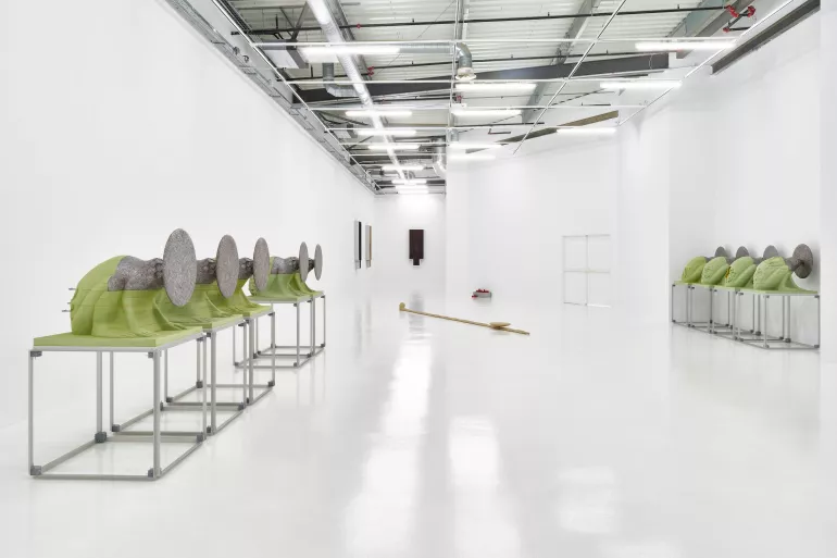 Photographie © Jean-Christophe Lett