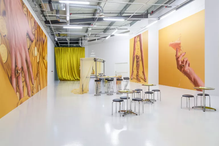 Couverture de l'exposition Zoe Williams - "En liquide"