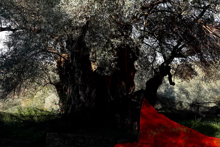 ENNEMI (UNE CONFÉRENCE POUR LA PAIX)