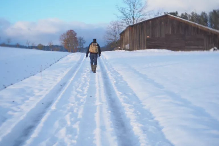 SUR  LE CHEMIN  DES GLACES