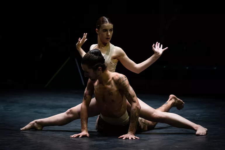 IO-LANDSCAPES,  MACHINES,  ANIMALS